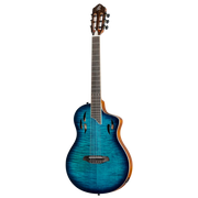 Ortega Classical Electric guitar TourPlayer Series  RTPDLX with Gig bag