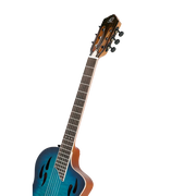 Ortega Classical Electric guitar TourPlayer Series  RTPDLX with Gig bag