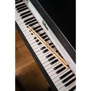 MEINL Drumstick American Hickory Acorn 7AWT - SB111