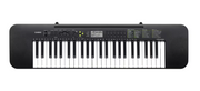 Casio CTK-240 Portable Keyboard (Adapter Included)