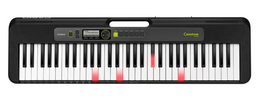 Casio LK-S250 61 Key Portable Keyboard with Lighting Keys, Black (Adapter Included)
