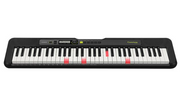 Casio LK-S250 61 Key Portable Keyboard with Lighting Keys, Black (Adapter Included)