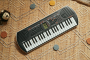 CASIO Mini Keyboard (Adapter Included) SA-80 & SA-81