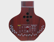 RADEL Saarang Sparshini Dx