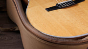 Taylor 214ce-N Classical Nylon Strings Electro Acoustic Guitar