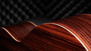 TAYLOR 50th Anniversary GS Mini-e Rosewood SB