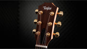 TAYLOR 50th Anniversary GS Mini-e Rosewood SB