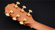 TAYLOR 50th Anniversary GS Mini-e Rosewood SB