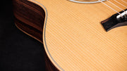 Taylor 50th Anniversary GS Mini-e Rosewood LTD – Natural