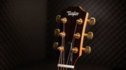 Taylor 50th Anniversary GS Mini-e Rosewood LTD – Natural