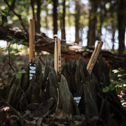 VICFIRTH Drumsticks 5AWT Terra Series