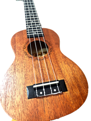 Soprano Ukulele with Bag , 21 inch Halstaff Free Shipping