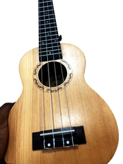 Soprano Ukulele with Bag , 21 inch Halstaff Free Shipping