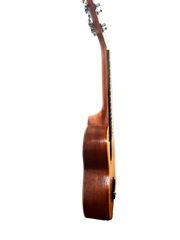 Soprano Ukulele with Bag , 21 inch Halstaff Free Shipping