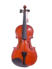 SG Musical Violin with Case : Amazon.in: Musical Instruments