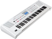 Roland BK-3 WH Backing Keyboard (White)