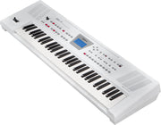 Roland BK-3 WH Backing Keyboard (White)