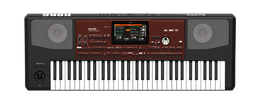 Korg Pa700 Professional Arranger 61-Keys with Touchscreen, Black