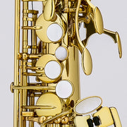 Chateau Alto Saxophone CAS-22GL