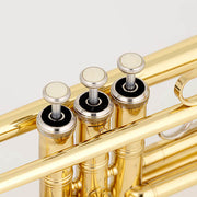 CHATEAU Trumpet CTR-20 Lacquer with hardcase