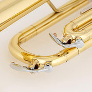 CHATEAU Trumpet CTR-20 Lacquer with hardcase