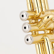 CHATEAU Trumpet CTR-20 Lacquer with hardcase