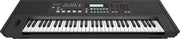 Roland E-X50 Electronic 61-Keys Arranger Keyboard