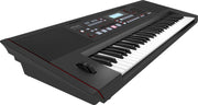 Roland E-X50 Electronic 61-Keys Arranger Keyboard