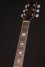 TAKAMINE Semi Acoustic Guitar GN75CE WR