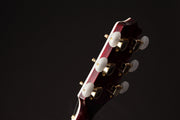TAKAMINE Semi Acoustic Guitar GN75CE WR