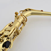 JINBAO Alto Saxophone JBAS200