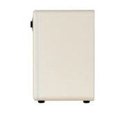 Mooer Hornet 15i Intelligent Guitar Amplifier 15 watt