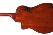 Ibanez electro-acoustic guitar AEG50 - Dark Honey Burst High Gloss