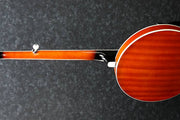 Ibanez B200 Banjo