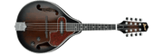 IBANEZ Electric Mandolin M510E