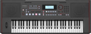 Roland E-X50 Electronic 61-Keys Arranger Keyboard