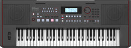 Roland E-X50 Electronic 61-Keys Arranger Keyboard