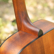 Cort AD810 Standard Series Acoustic Guitar, Open Pore