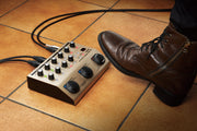 BOSS Acoustic Singer VE-8